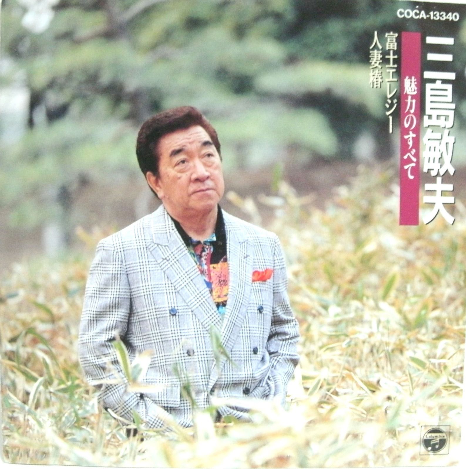 【CD】魅力のすべて/富士哀歌