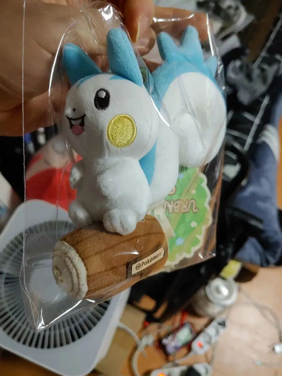 ポケモン パチリス ぬいぐるみ 新品 SEOUL ソウル 숲 聖水 30周年