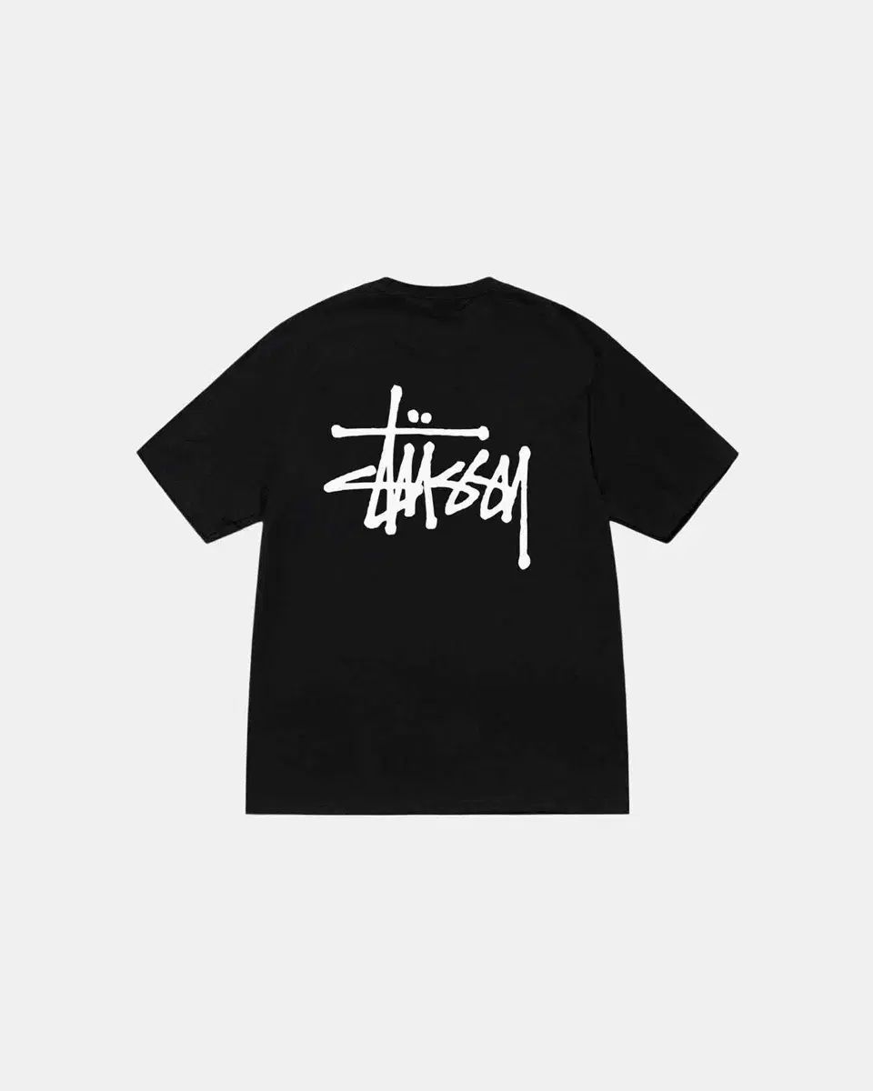 STUSSY ステューシー 半袖 (2点 xl)
