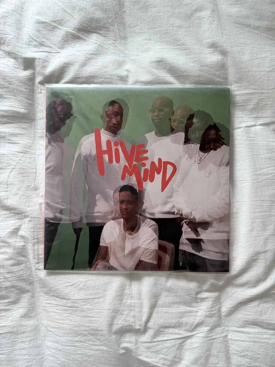 The Internet (D インターネット) Hive Mind LP