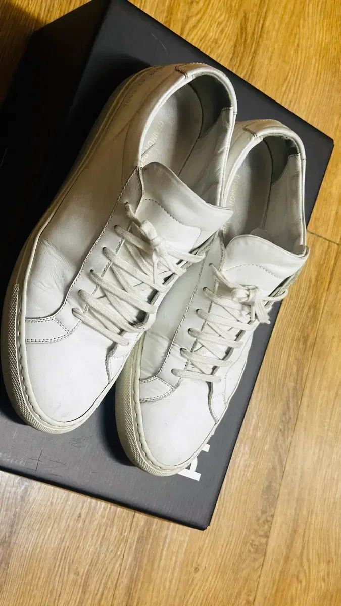 COMMON PROJECTS 白 スニーカー (アキレスロー 42)