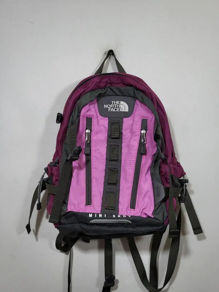 THE NORTH FACE ザノースフェイス レディース ビッグバッグ