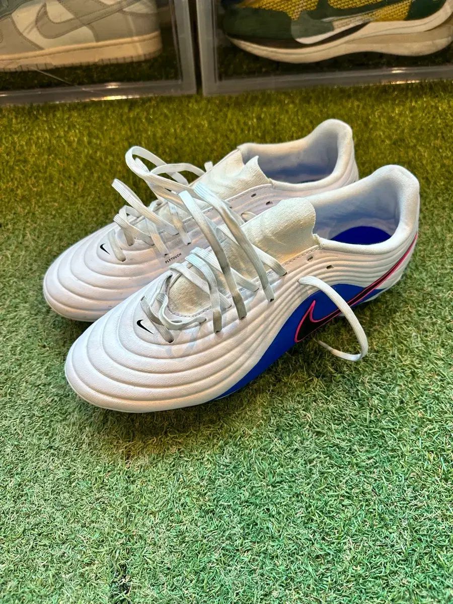 ナイキ ティエンポ Maestro アカデミー サッカーシューズ 280