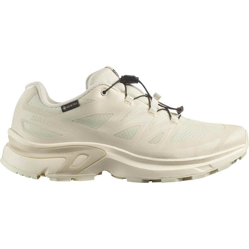サロモン レディース シューズ スニーカー Salomon XT EVR GTX Ld53 VanMilkVan