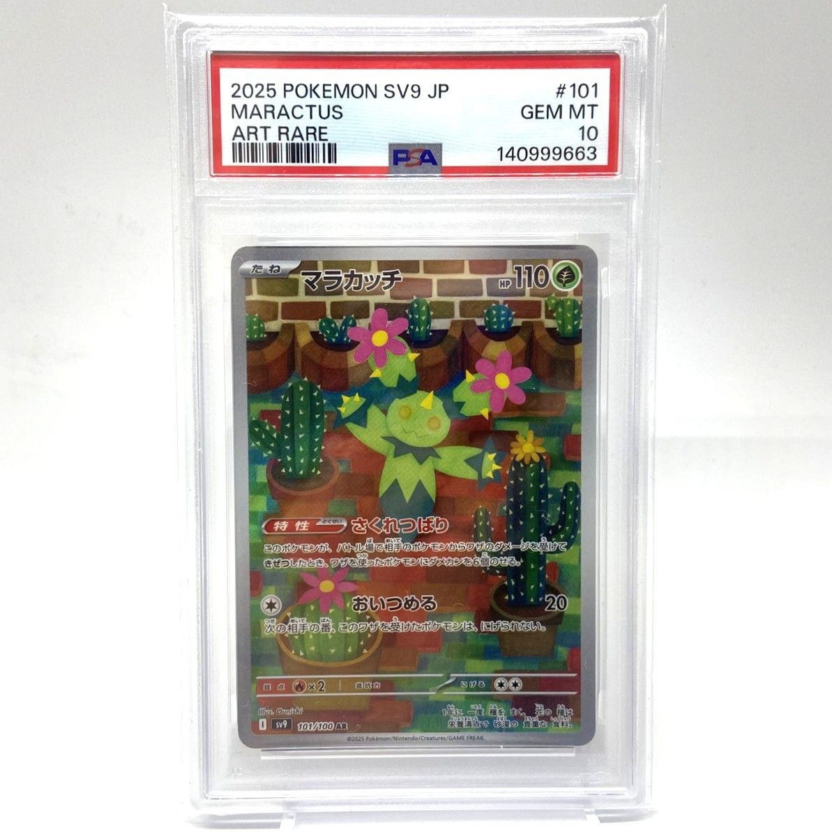☆PSA10 ポケモンカード マラカッチ AR 101/100 バトルパートナーズ ☆PSA10 ポケモンカード マラカッチ AR 101/100 バトルパートナーズ
