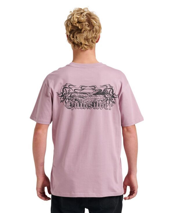 クイックシルバー メンズ トップス Tシャツ Quiksilver Mens Backyard Short Sleeve TShirt Elderberry