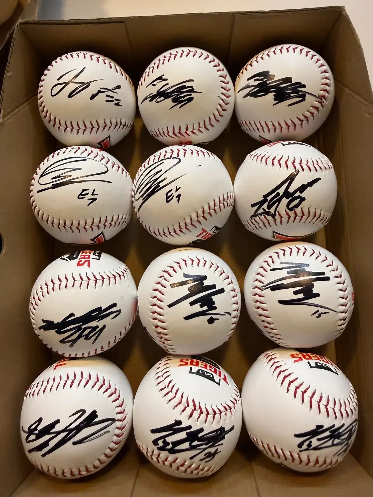 UPDATE プロ野球 10球団 ロゴボール サイン入りサインボール 出品-商品 