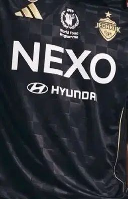 2026 全北 サード 3XL