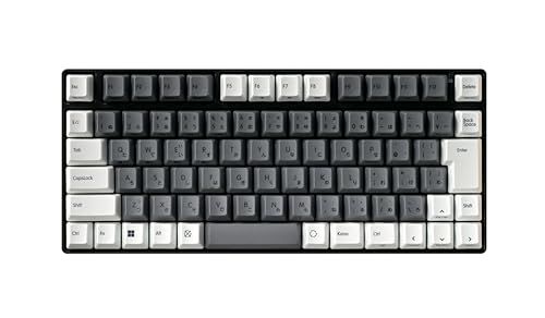 REALFORCE RC1 キーボード 対応 キーキャップ セット 25キー スーパーホワイト 日本語配列 かなレス 昇華印刷 PBT M1353Jt