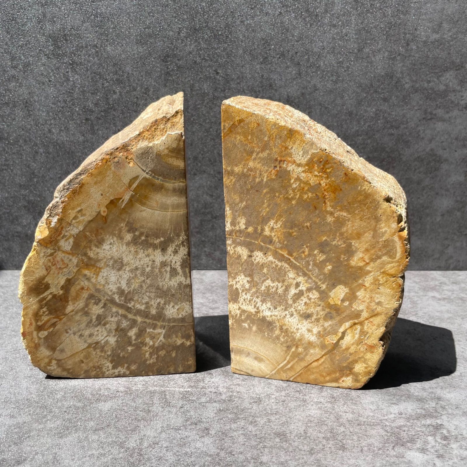 インドネシア産♦︎Petrified Wood ペトリファイドウッド|Book Stand ブックスタンド|インテリアストーン|天然石　パワーストーン　鉱物　gem stone