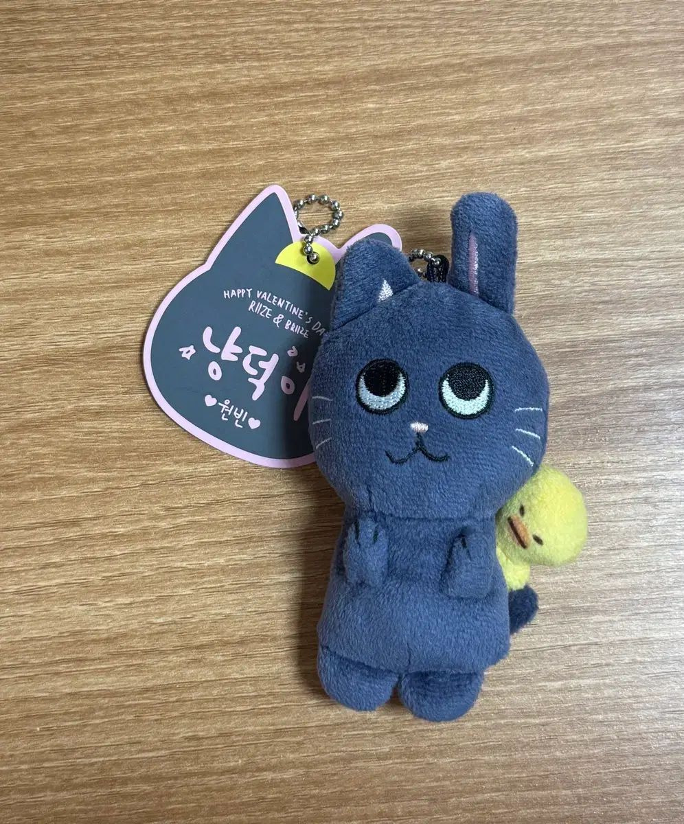 RIIZE（ライズ）ウォンビン（WONBIN）トゥーニャンダック 1期