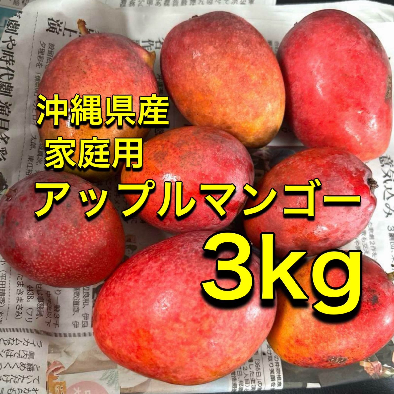 沖縄県産 アップルマンゴー アーウィン種 箱込3kg 家庭用 常温便