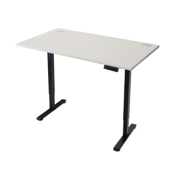 昇降デスク 電動 エコノミーモデル PSE適合 120cm 1200mm 耐荷重約70kg(脚部) スタンディングデスク 上下昇降 デスク 高さ調整 エルゴノミクス 昇降式デスク 昇降テーブル 9f (天板:120,ライトグレー)(脚色:ブラック)