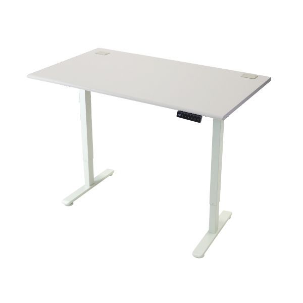 昇降デスク 電動 エコノミーモデル PSE適合 120cm 1200mm 耐荷重約70kg(脚部) スタンディングデスク 上下昇降 デスク 高さ調整 エルゴノミクス 昇降式デスク 昇降テーブル 9f (天板:120,ライトグレー)(脚色:ホワイト)