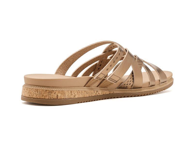 スケッチャーズ レディース シューズ サンダル BOBS from SKECHERS Desert Kiss Low Sunny Strolls Bronze スケッチャーズ レディース シューズ サンダル BOBS from SKECHERS Desert Kiss Low Sunny Strolls Bronze