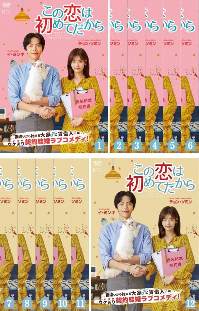 この恋は初めてだから Because This is My First Life(12枚セット)第1話~第22話 最終【字幕】【全巻セット 洋画 中古 DVD】レンタル落ち