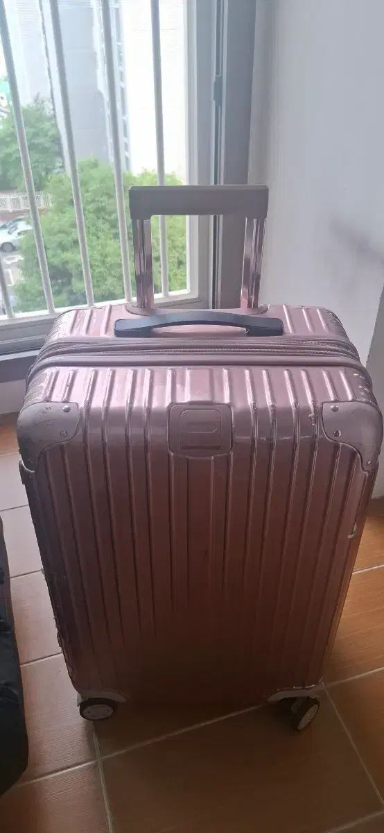 エダス24インチ ローズゴールド キャリアーバッグ