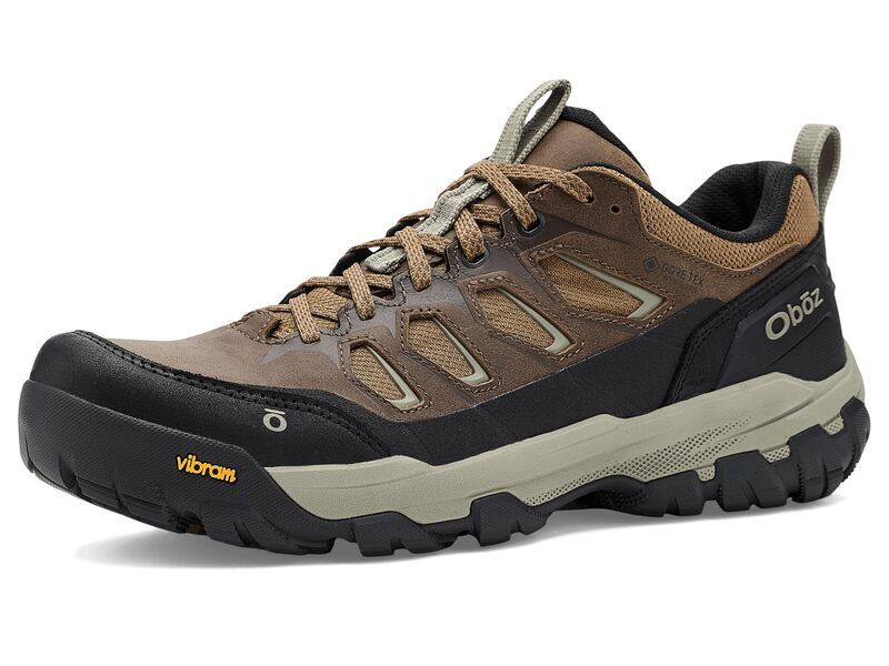 オボズ メンズ シューズ ブーツ・レインブーツ Oboz Sawtooth X Pro Low Gtx Tadpole