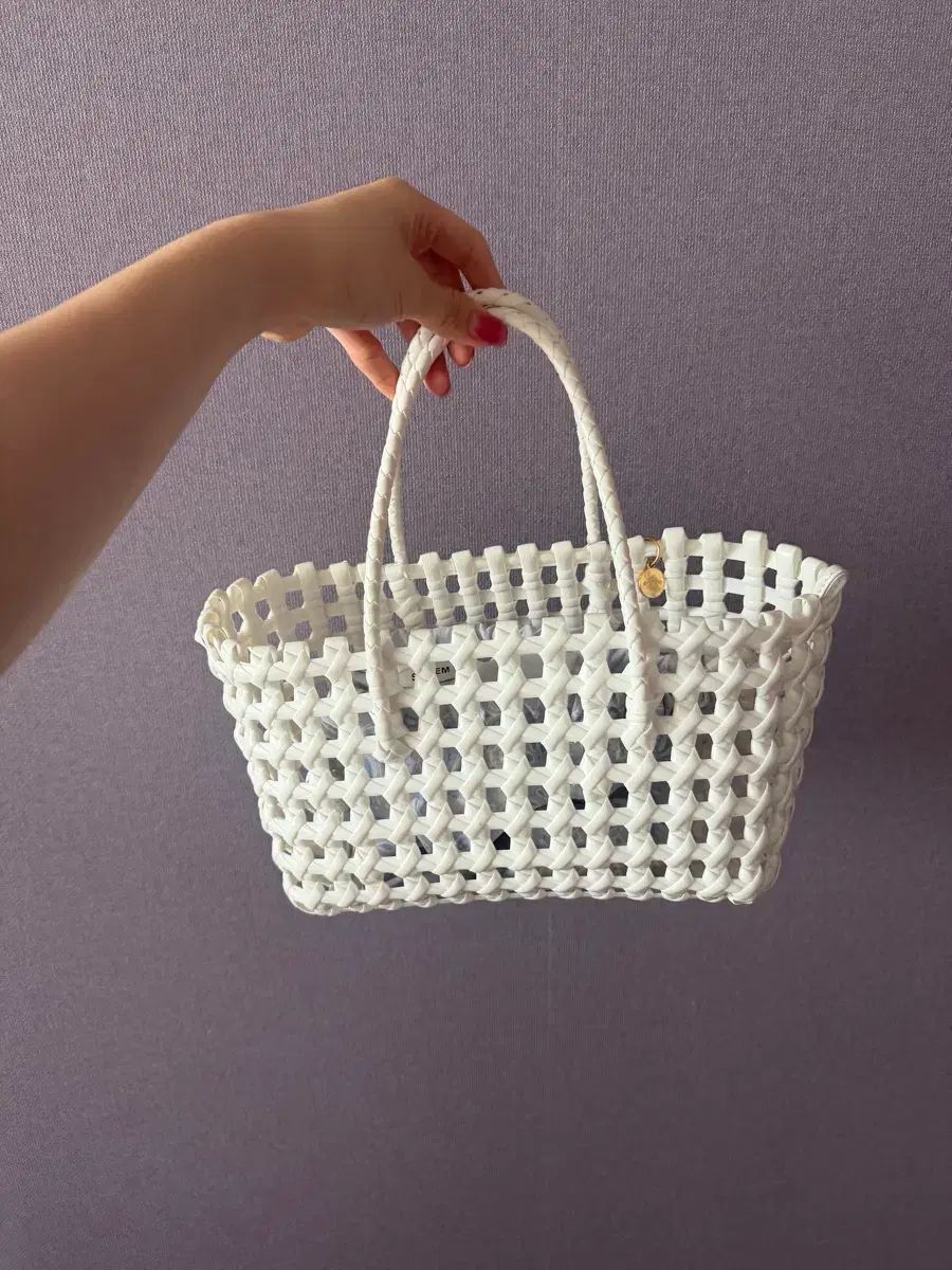 システム 夏 レディース バッグ 出品