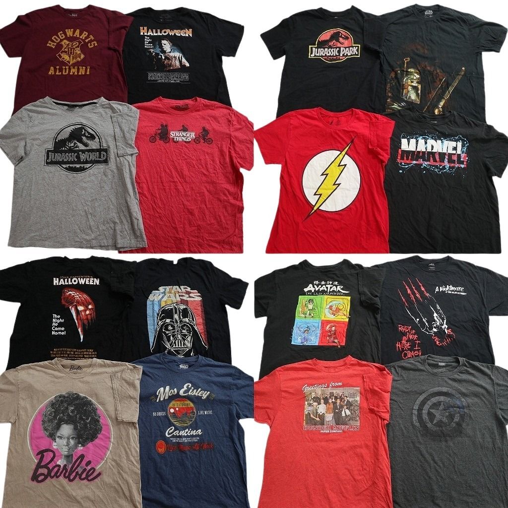 古着卸 まとめ売り 映画・ドラマ Tシャツ 16枚セット ( メンズ L/XL ) ストレンジャーシングス ハリーポッター ホラー 中古 古着 NE8193