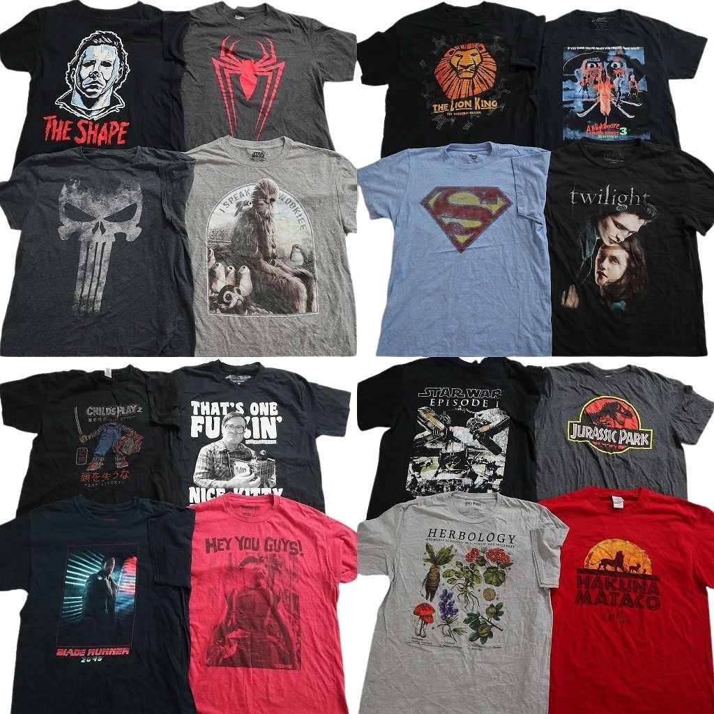 古着卸 まとめ売り 映画・ドラマ Tシャツ 16枚セット ( メンズ M/L ) ホラー ハリーポッター チャッキー マーベル 中古 古着 NE8199