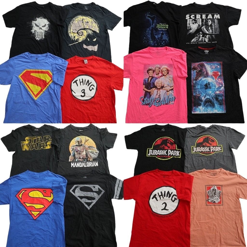 古着卸 まとめ売り 映画・ドラマ Tシャツ 16枚セット ( メンズ M ) マーベル スーパーマン スターウォーズ マーベル 中古 古着 NE8200
