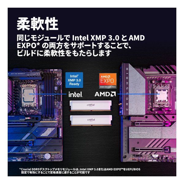 crucial クルーシャル CRUCIAL クルーシャルPRO マイクロン製
