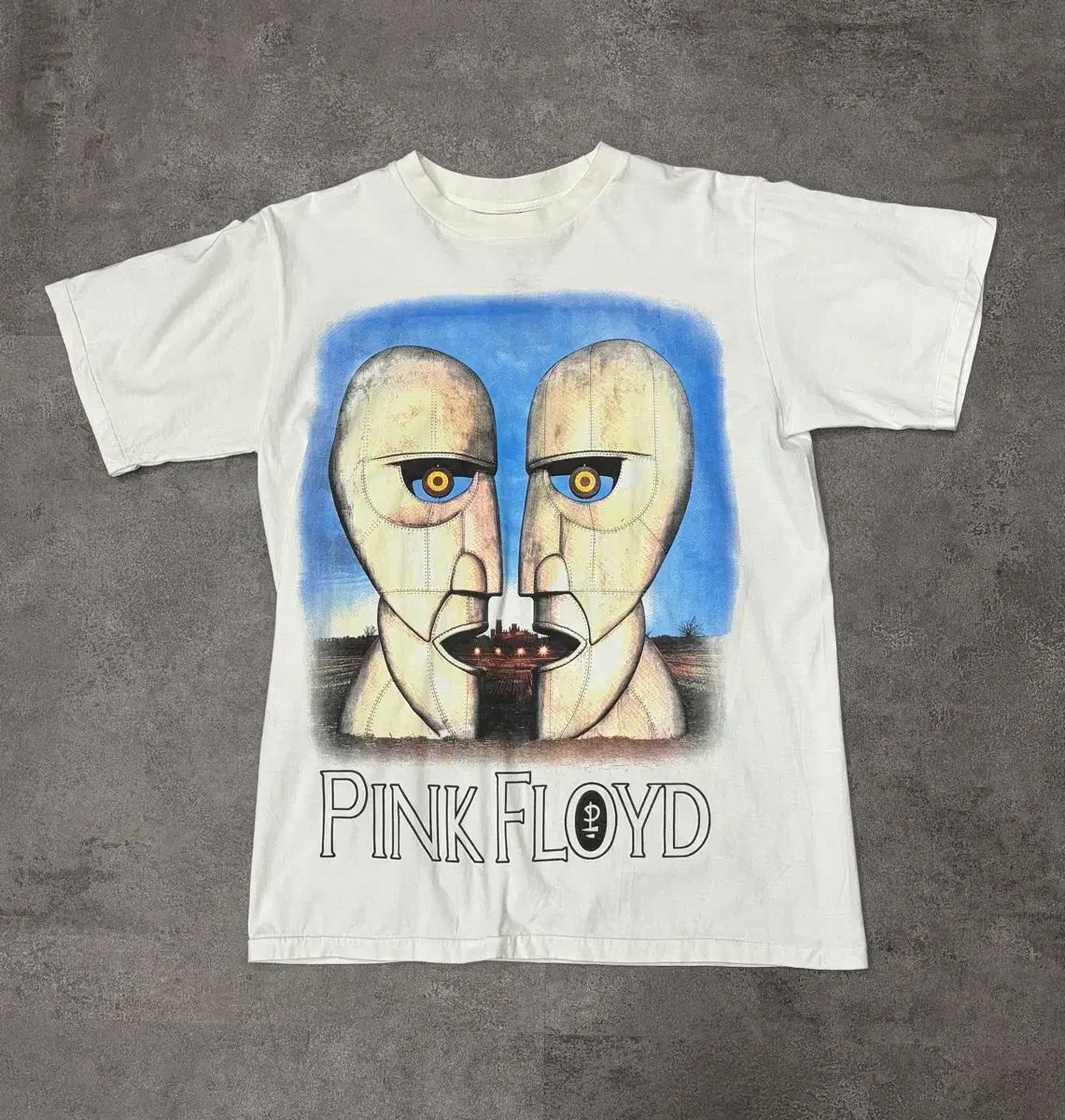 00s Anvil t reprint ピンク フロイド Division Bell