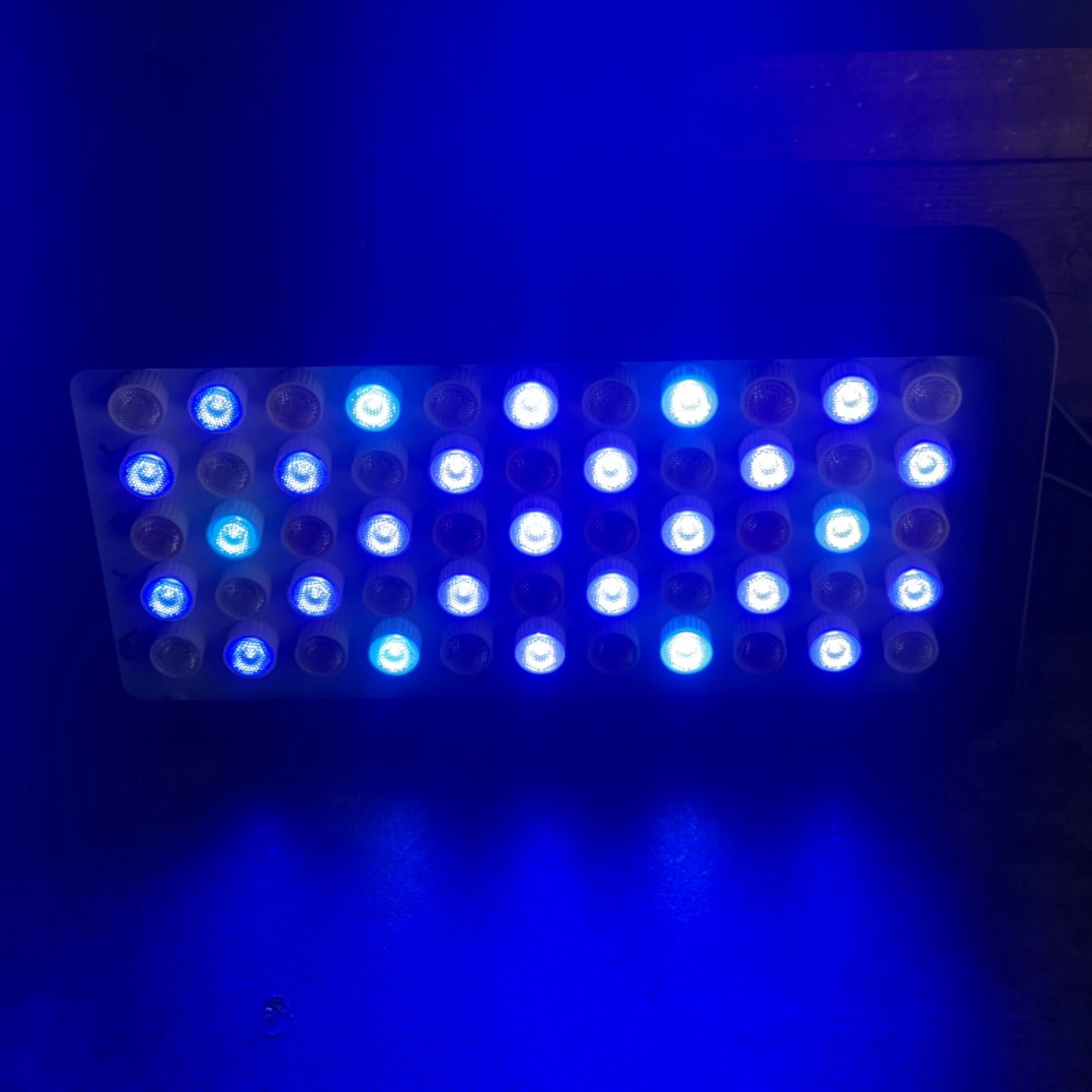 ブラックボックス 珊瑚水槽 海水水槽 ライト 照明 LED ② - メルカリ