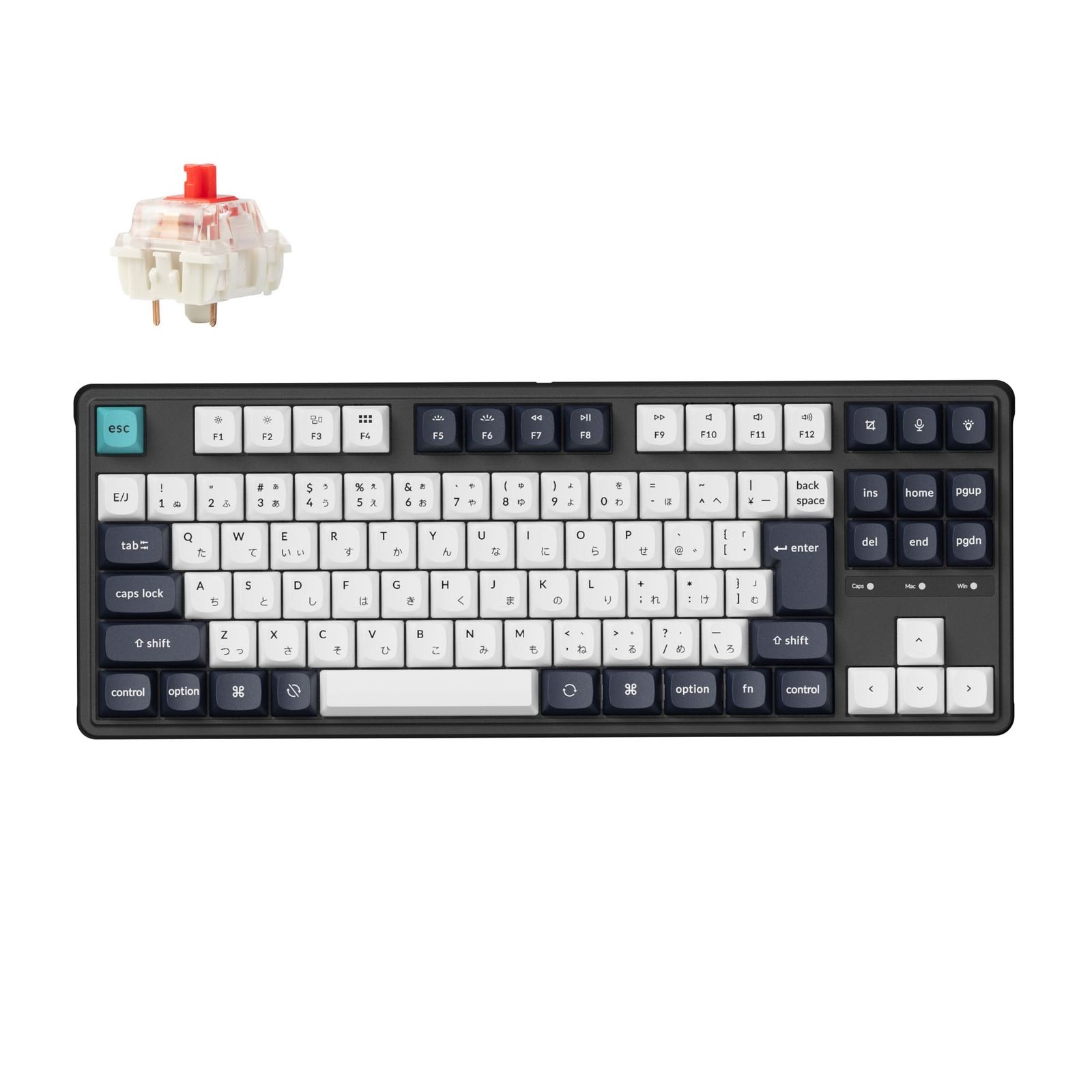 【国内正規品】Keychron C3 Pro カスタムゲーミングキーボード、コンパクトテンキーレスレイアウト/JISレイアウト/赤色LEDバックライト/有線接続メカニカルキーボード/ガスケットマウント/ダブルショットPBTキーキャップ/Mac d29cb5cc