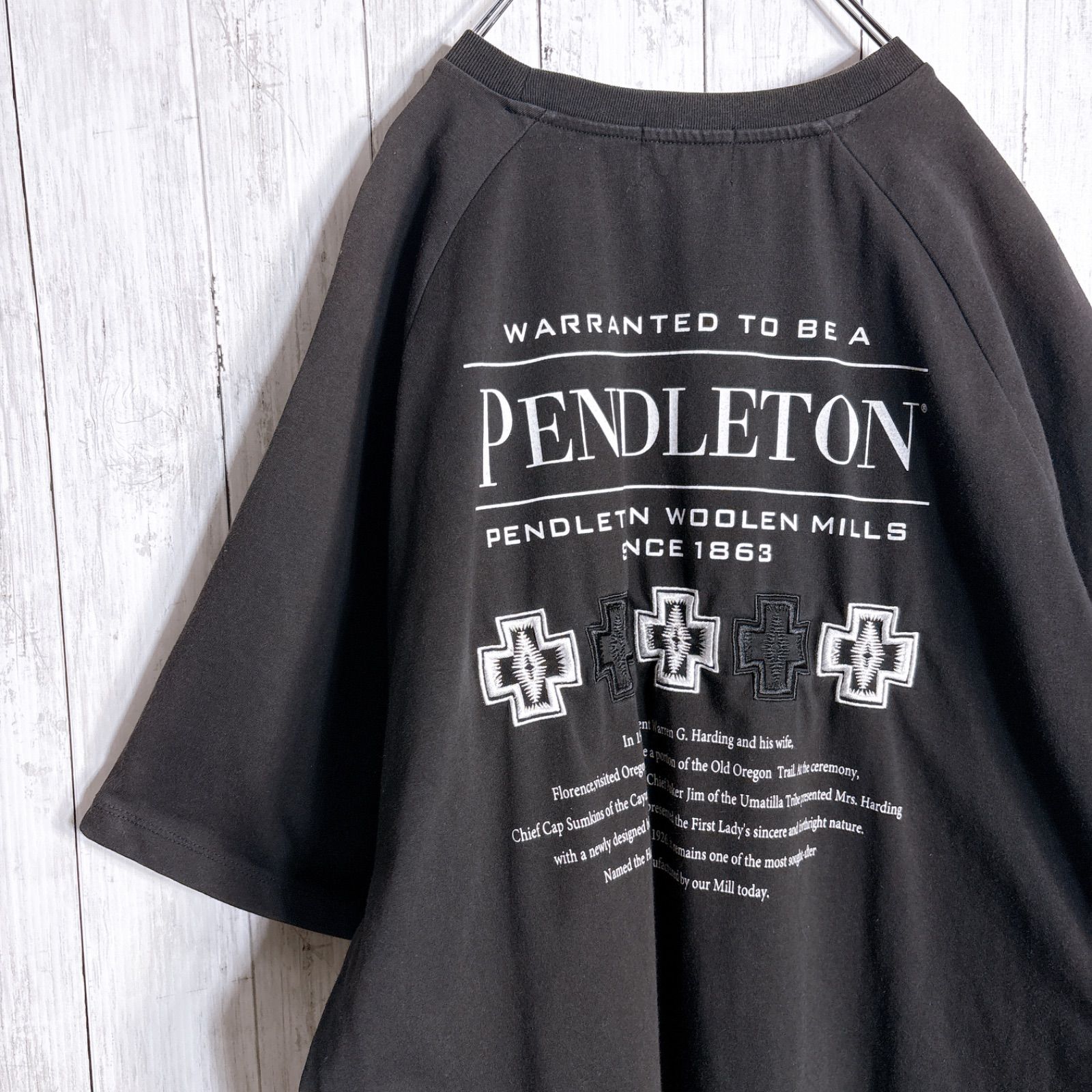 【国内正規品】ペンドルトン PENDLETON ドローコード付き バックプリント 半袖Tシャツ #6990