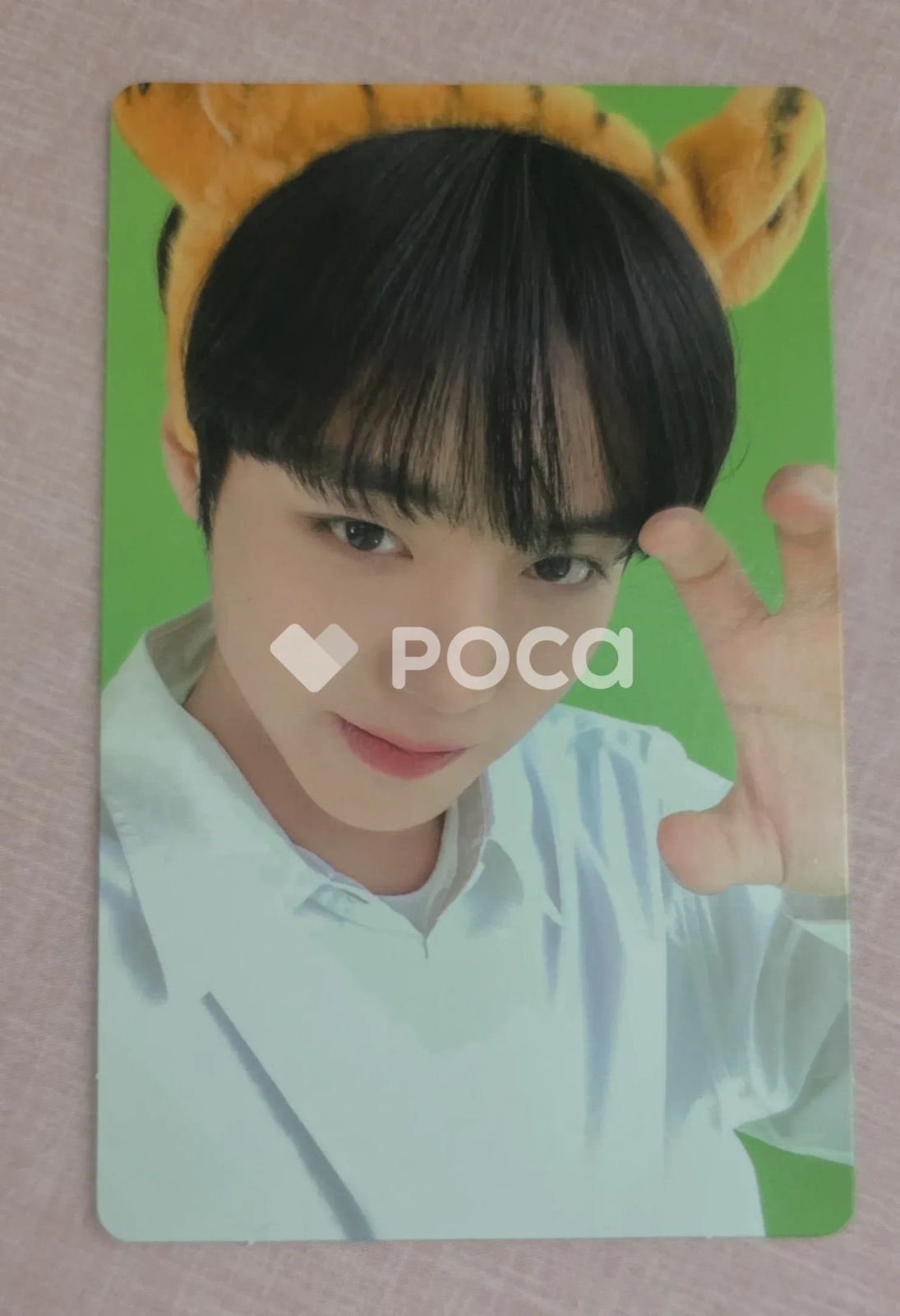 パク・ジフン パク・ジフン Park Jihoon OFFICIAL FANCLUB MAY 3期 KIT
