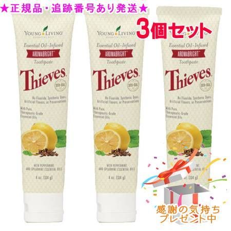 2025，お買い得】 YOUNG LIVING ヤング・リビング ヤングシーブス