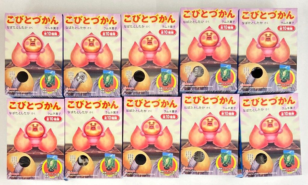 カバヤ こびとづかん3 全10種セット 1