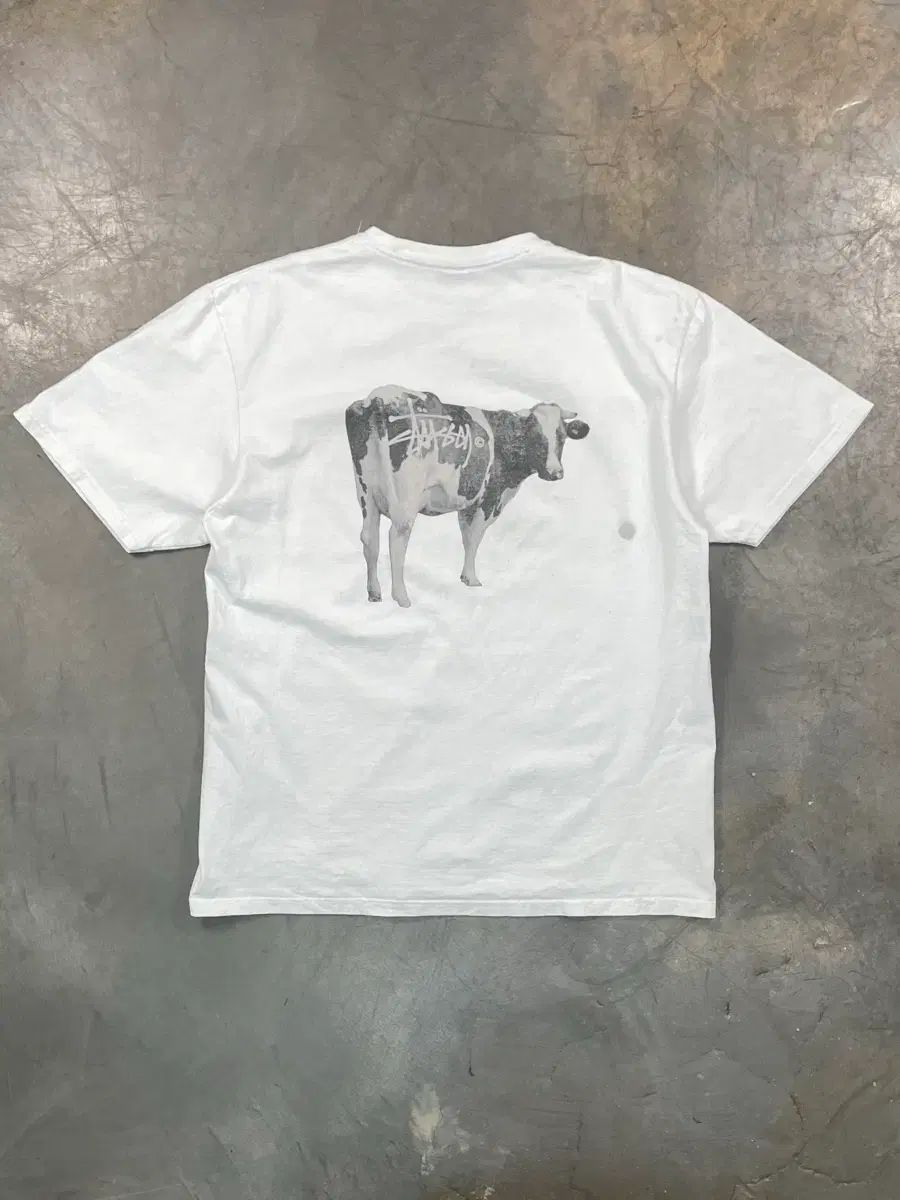 STUSSY グラフィック半袖Tシャツ