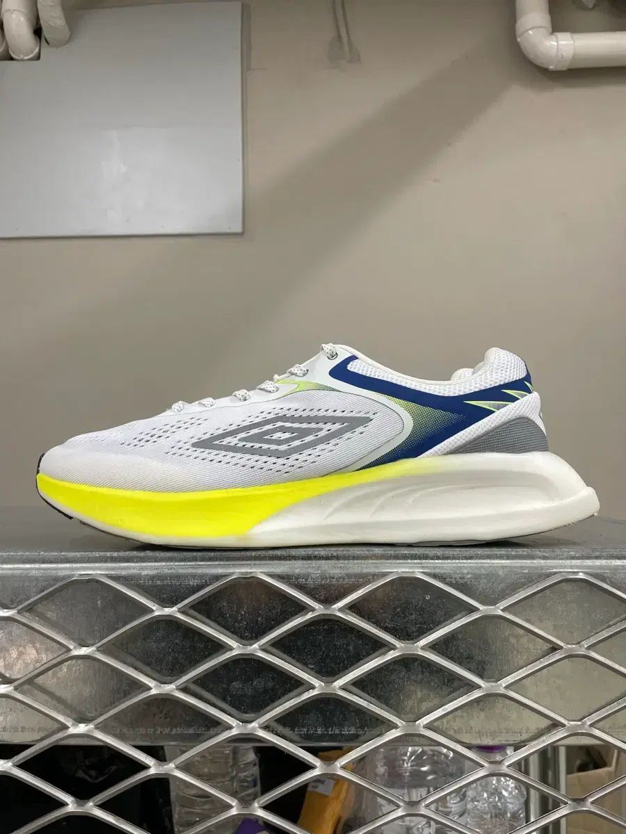 アンブロ ケイダンス ランニングシューズ 285 (gr-4065)