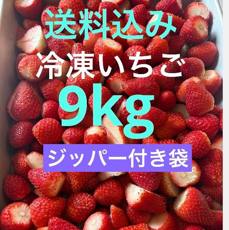 🍓冷凍いちご【お買い得】9kg 千葉県産 とちおとめ - メルカリ