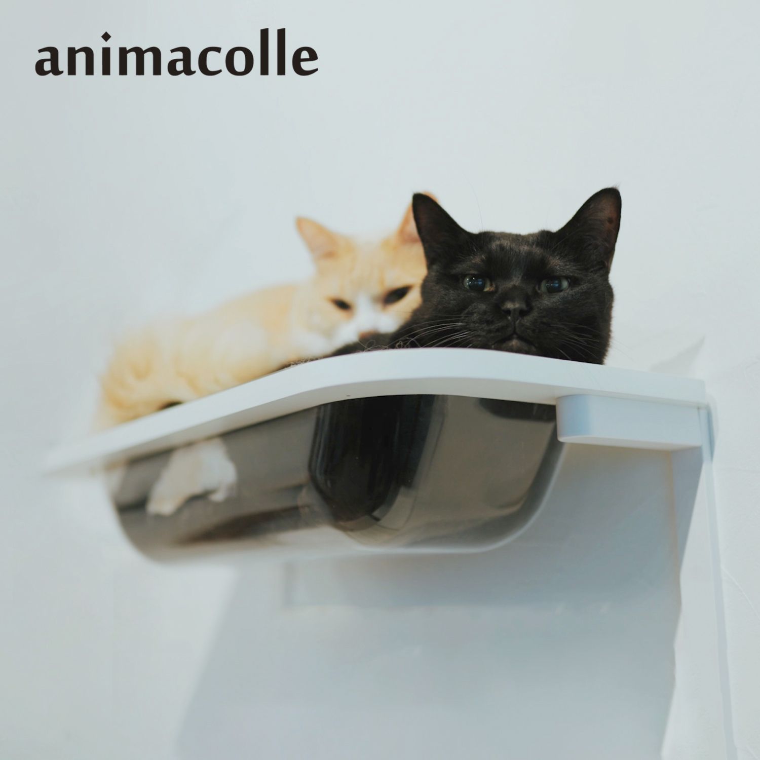 アニマコレ animacolle キャットステップ キャットタワー キャットバス 日本製 安全 壁付け 棚板 足場 猫 ねこ コンパクト 700032