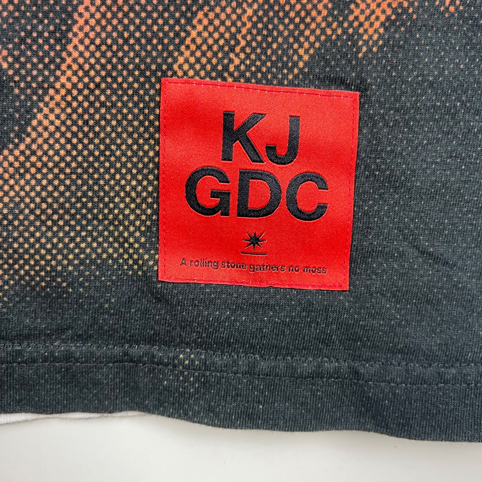 GDC 2025 Dragon Ash KJ All-over pattern Tee L グランドキャニオン 