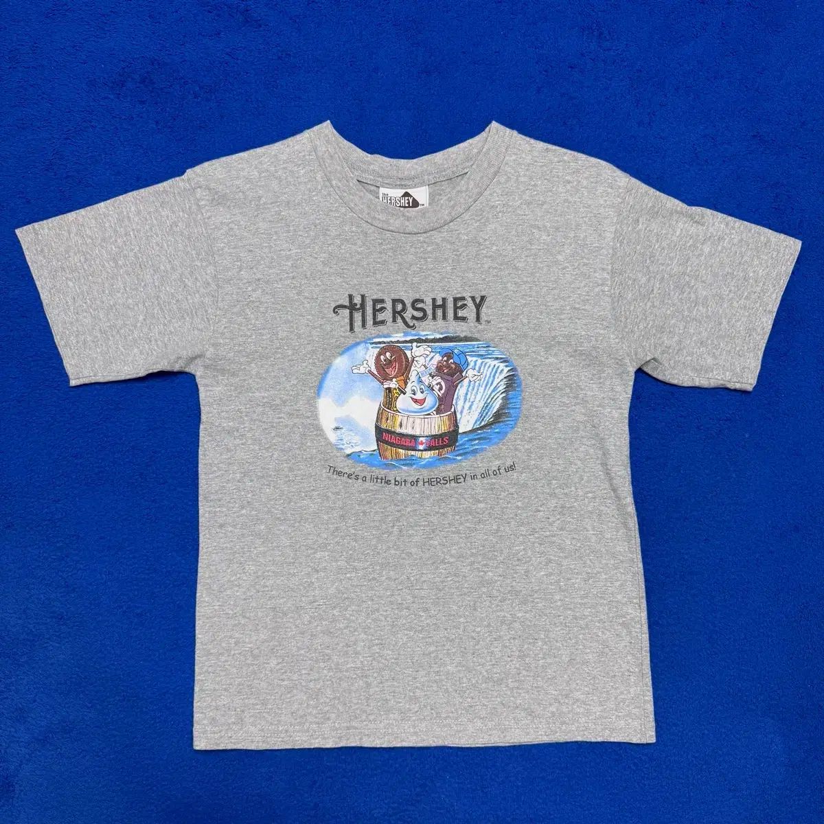 90s HERSHEY 허쉬 OFFICIAL 半袖Tシャツ M
