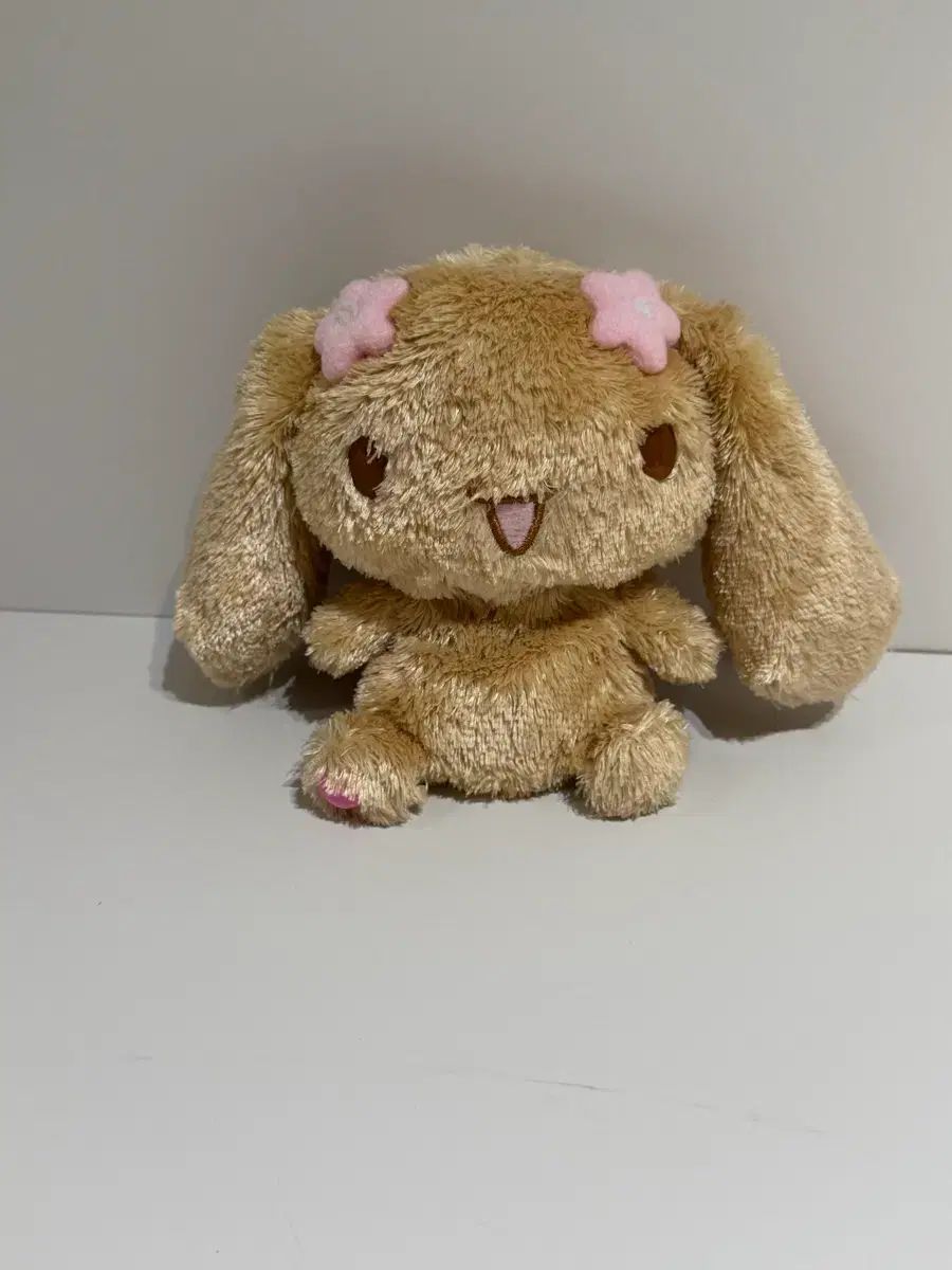 発ハート モカ シナモロール