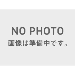 【新品・3営業日で発送】スペシャルパーツ武川 DESMO 4VALVE ヘッドキット(106cc:25／20カム) 01-03-0167