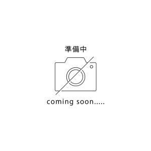 【新品・3営業日で発送】スペシャルパーツ武川 SSSマフラー (メッキプロテクター) 04-02-0393
