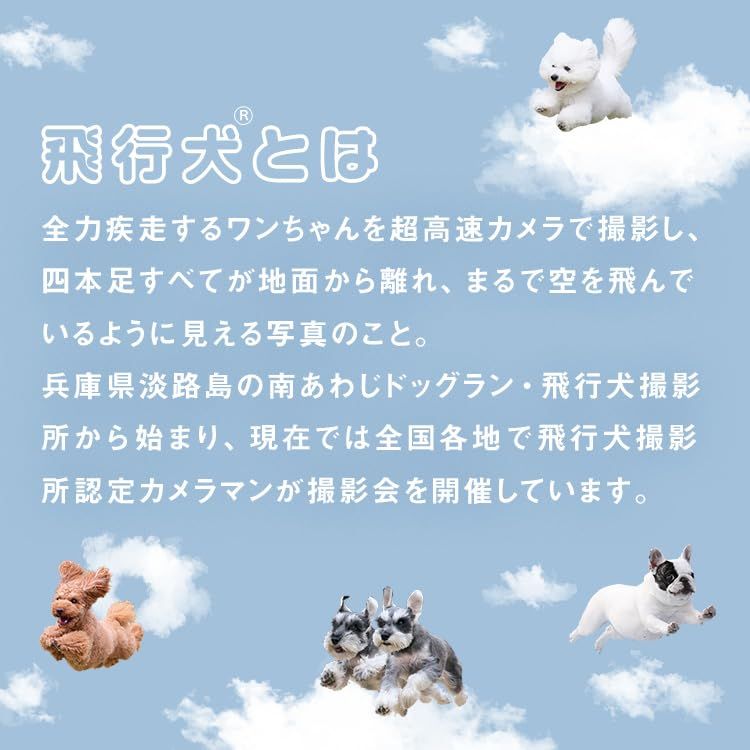 【2026】Wpc. 日傘 飛行犬×Wpc. 空飛ぶ遮光ワンブレラ ミニ ベージュ ≪遮熱/遮光率100%/UVカット率100%/UPF50＋/晴雨兼用≫ 折りたたみ傘 おしゃれ 可愛い 通勤 通学 レディース 女性 801-HK005-102