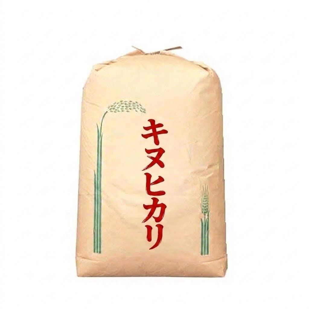 新米 令和7年度 埼玉県産 キヌヒカリ 玄米 30kg 1袋 未検査米