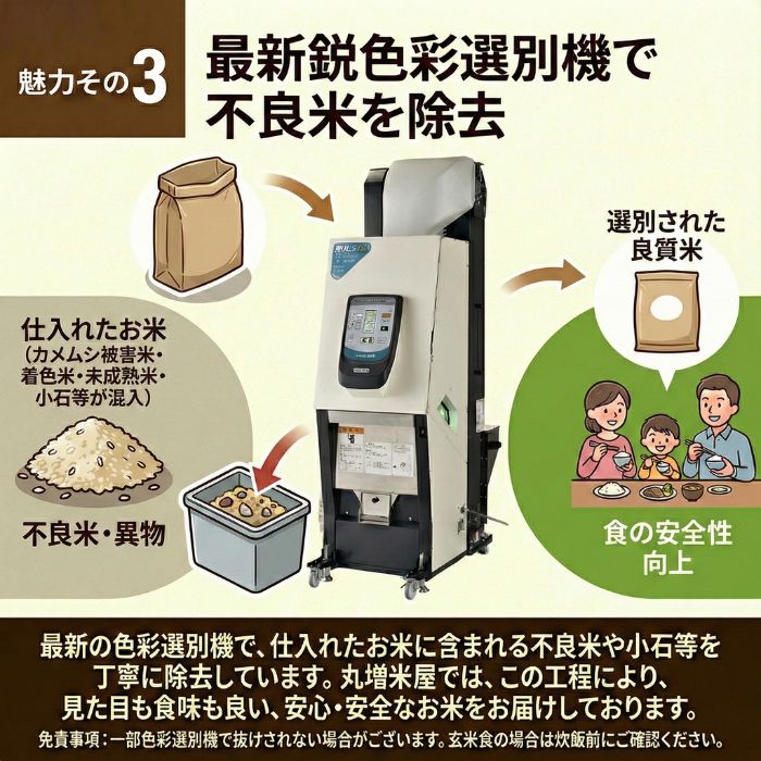 新米 令和7年度 埼玉県産 キヌヒカリ 玄米 30kg 1袋 未検査米
