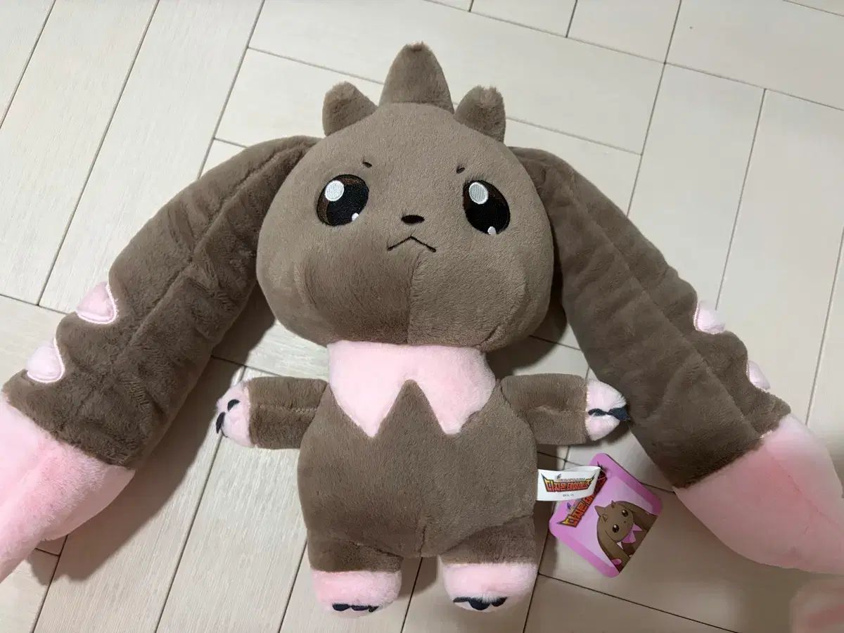 ポケモンカード ファイル付き リザードン 旧裏 イーブイ ピチュー エンテイ