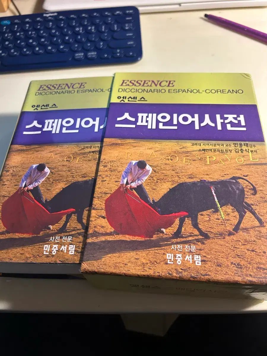 エッセンス スペイン語辞典 (状態良し)