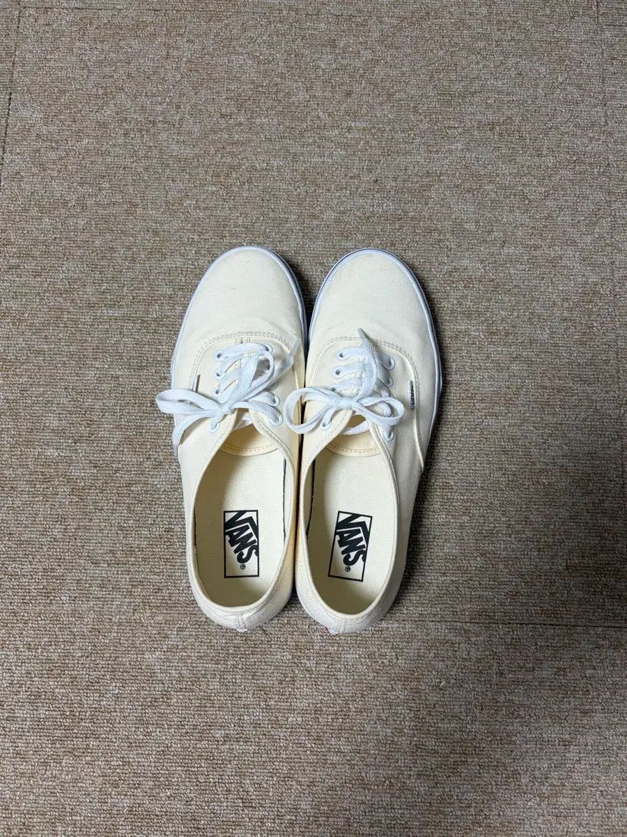 VANS スニーカー