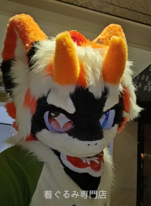 狼　犬　猫　着ぐるみ ヘッド全頭　ヘッド ケモノ ファースーツ ぬいぐるみ コスプレ コスチューム Kurumi 一点物 C21